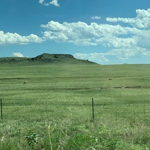 Meet your Posher, Angie